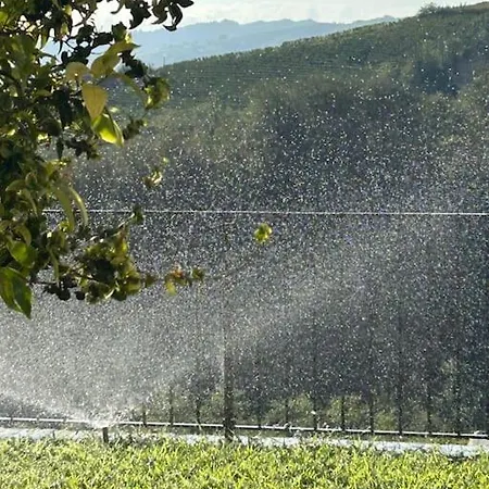 Casa Nelle Langhe Nyaraló Castiglione Tinella