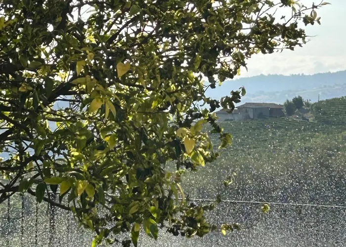 Casa Nelle Langhe